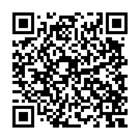 QR code for D3D 447