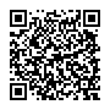QR code for D3D 494