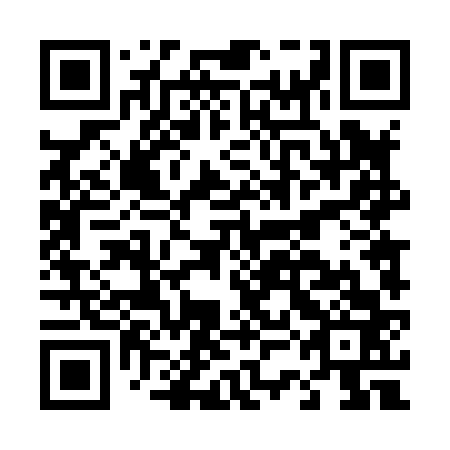 QR code for D3D 863