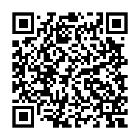 QR code for D3D013