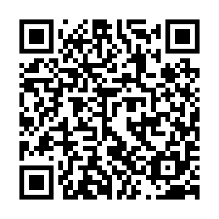 QR code for plate D3E 295