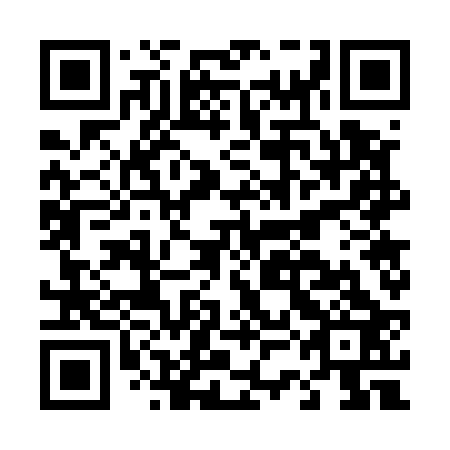 QR code for D3G 523