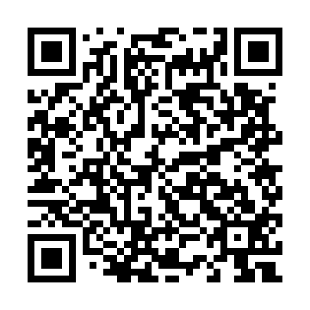 QR code for plate D3G 513
