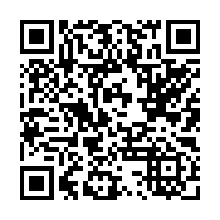 QR code for D3N 299