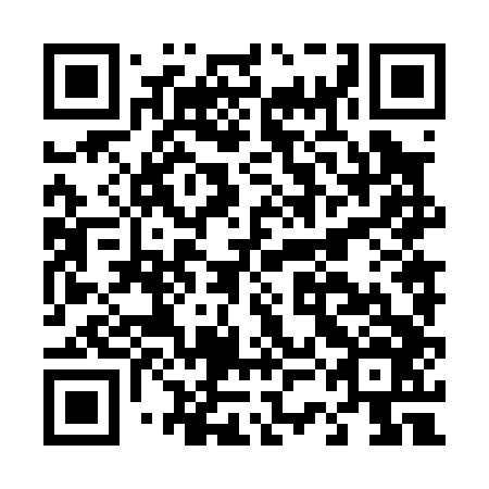 QR code for plate D3N 046