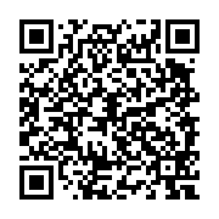 QR code for plate D3N 499
