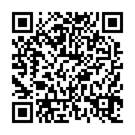 QR code for D3P 207