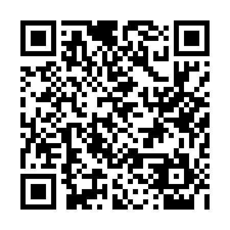 QR code for D3P 517