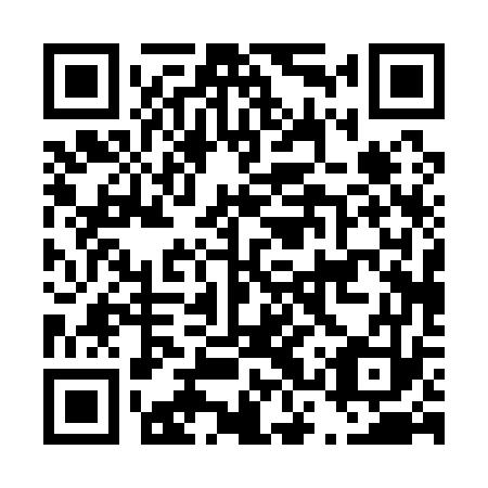 QR code for D3P173