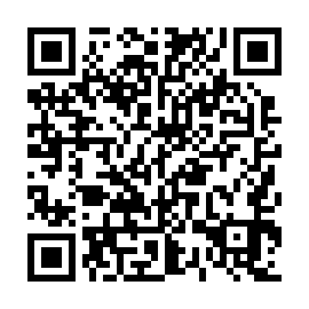QR code for D3P251