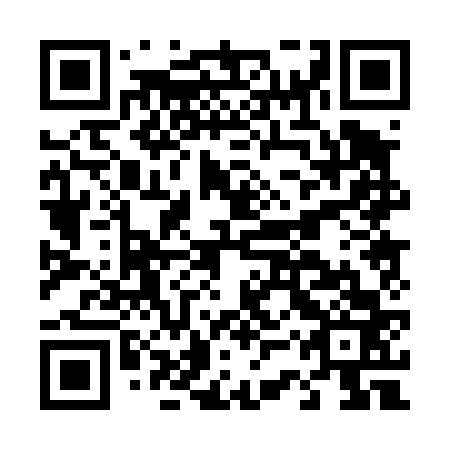 QR code for D3P463