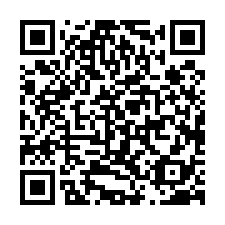 QR code for D3P538