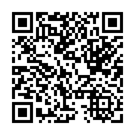QR code for D3P953