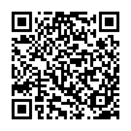 QR code for D3Q 383