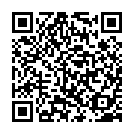 QR code for plate D3Q 119