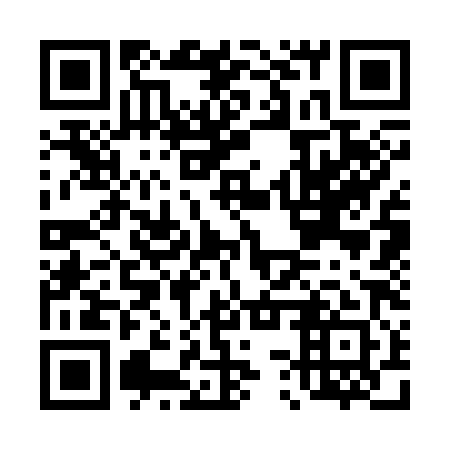 QR code for D3S381