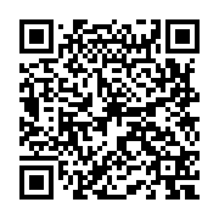 QR code for plate D3S 920