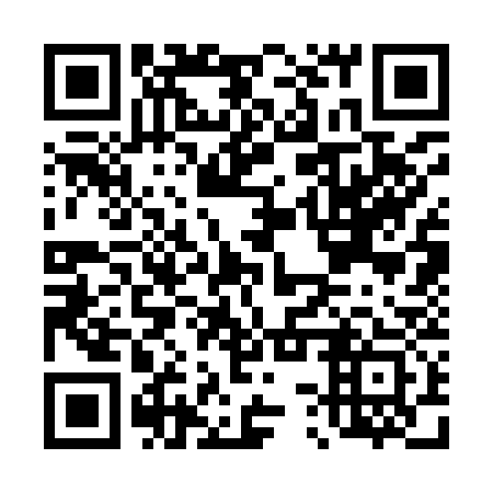 QR code for D3S933