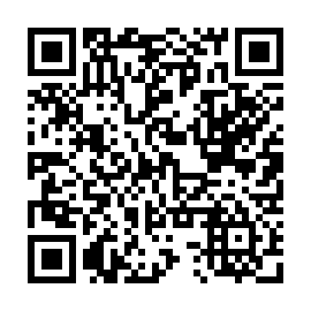 QR code for D3T 335