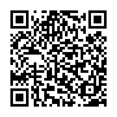 QR code for D3T 493