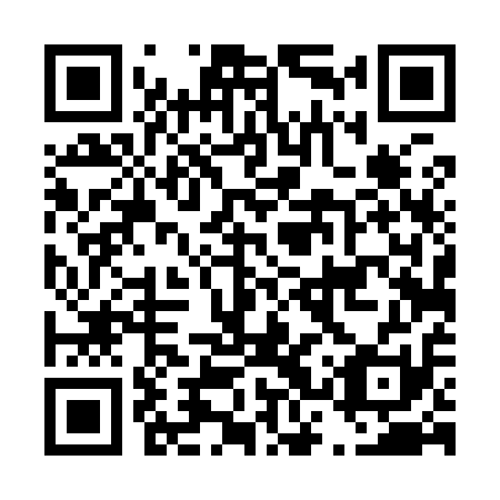 QR code for D3T 911