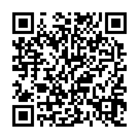 QR code for D3T317