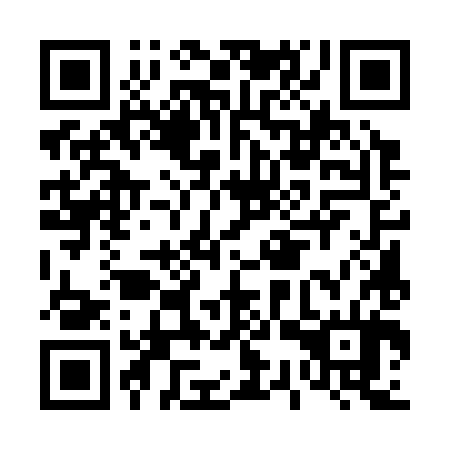 QR code for D3U 384