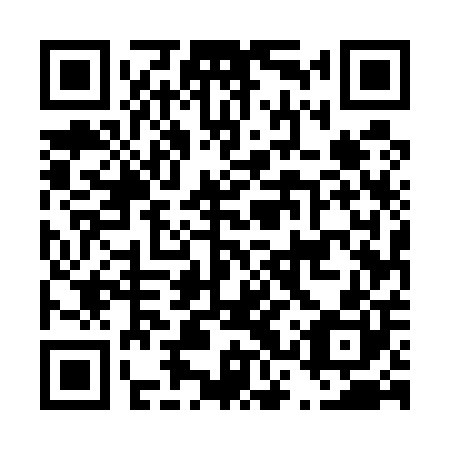 QR code for plate D3U 500