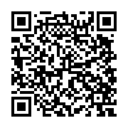 QR code for D3V 447