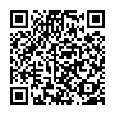QR code for D3V 539