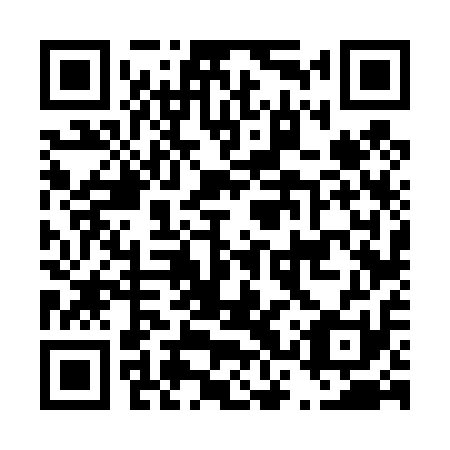 QR code for plate D3V 411