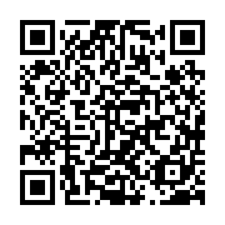QR code for D3X 250