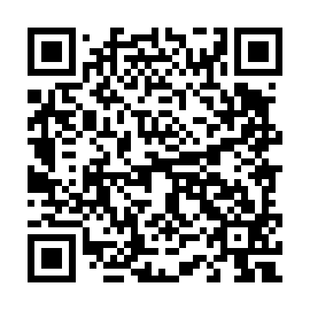 QR code for plate D3X 493