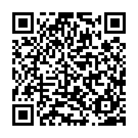 QR code for plate D3X 524