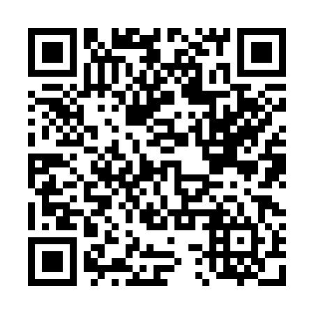 QR code for D3Z 384