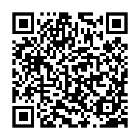 QR code for plate D3Z 480