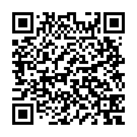 QR code for plate D4C 738
