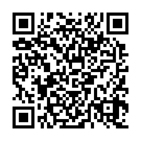 QR code for D4D 338