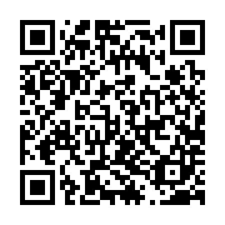 QR code for D4D 383