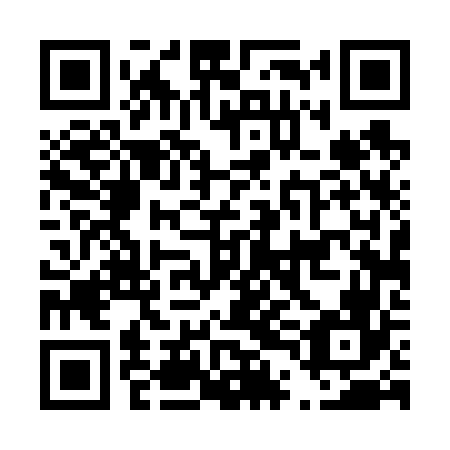 QR code for D4D666