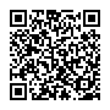 QR code for D4F 291
