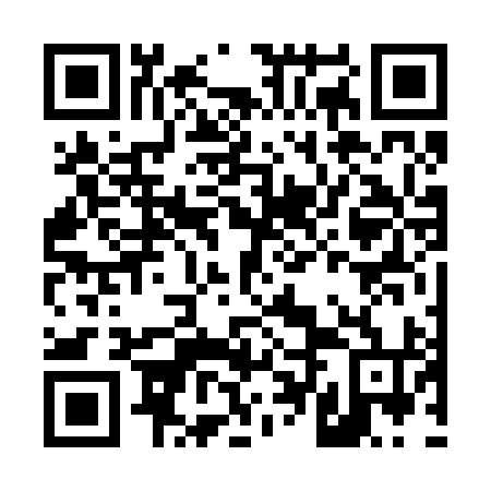QR code for plate D4F 294