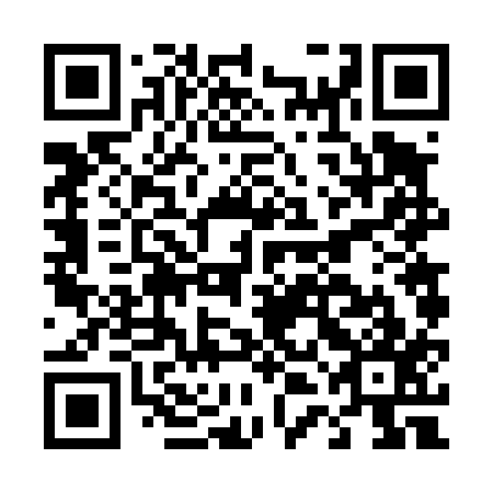 QR code for D4F417