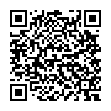 QR code for D4G 051