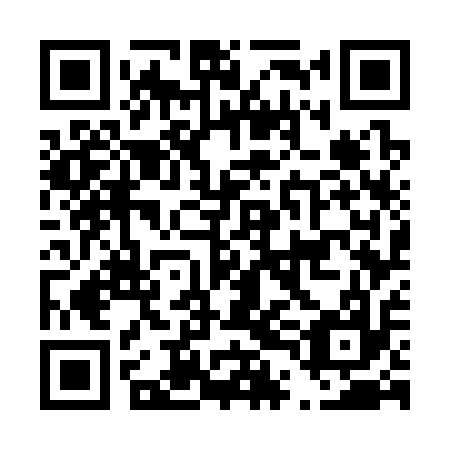 QR code for D4G 317
