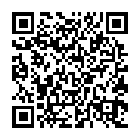 QR code for D4G 341