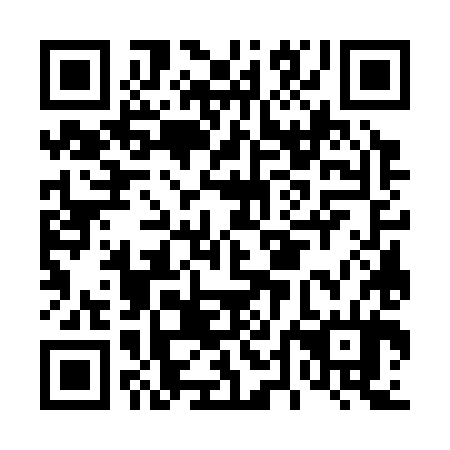QR code for D4G 384