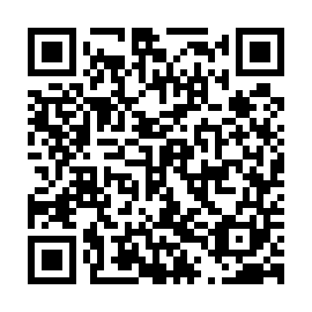 QR code for D4G 541
