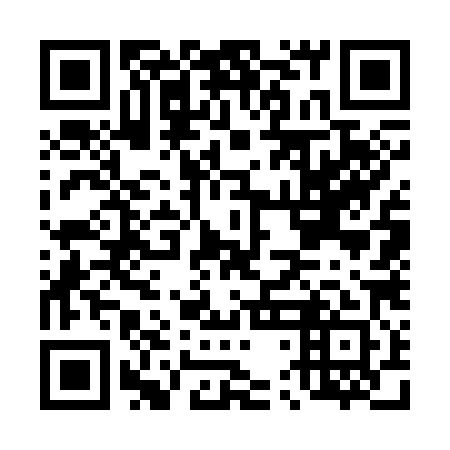 QR code for plate D4G 381