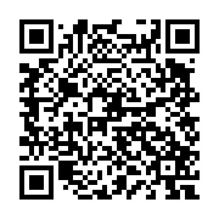 QR code for plate D4G 407